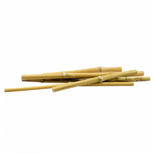 cannucce in bambù amaZEN